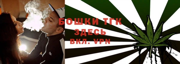 ГАЛЛЮЦИНОГЕННЫЕ ГРИБЫ Няндома