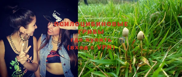 мескалин Нязепетровск