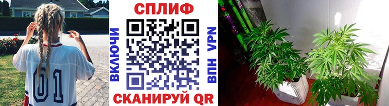 Купить  Первоуральск  Канабис Ganja 